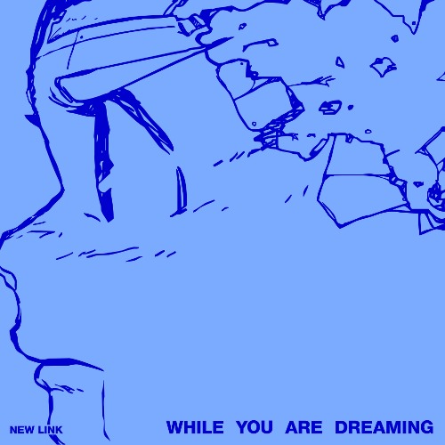 New Link – While You Are Dreaming [CD]