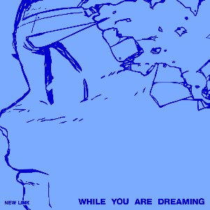 New Link – While You Are Dreaming [CD]